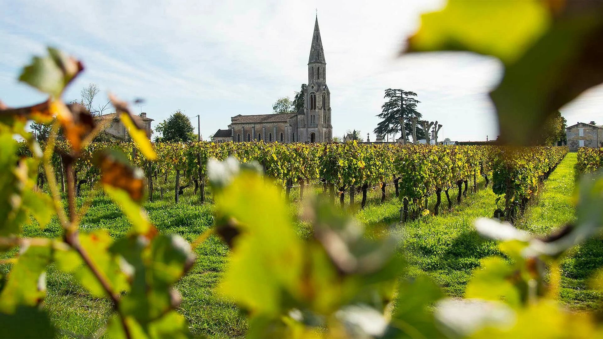 Spektakuläre Weine aus dem Bordeaux