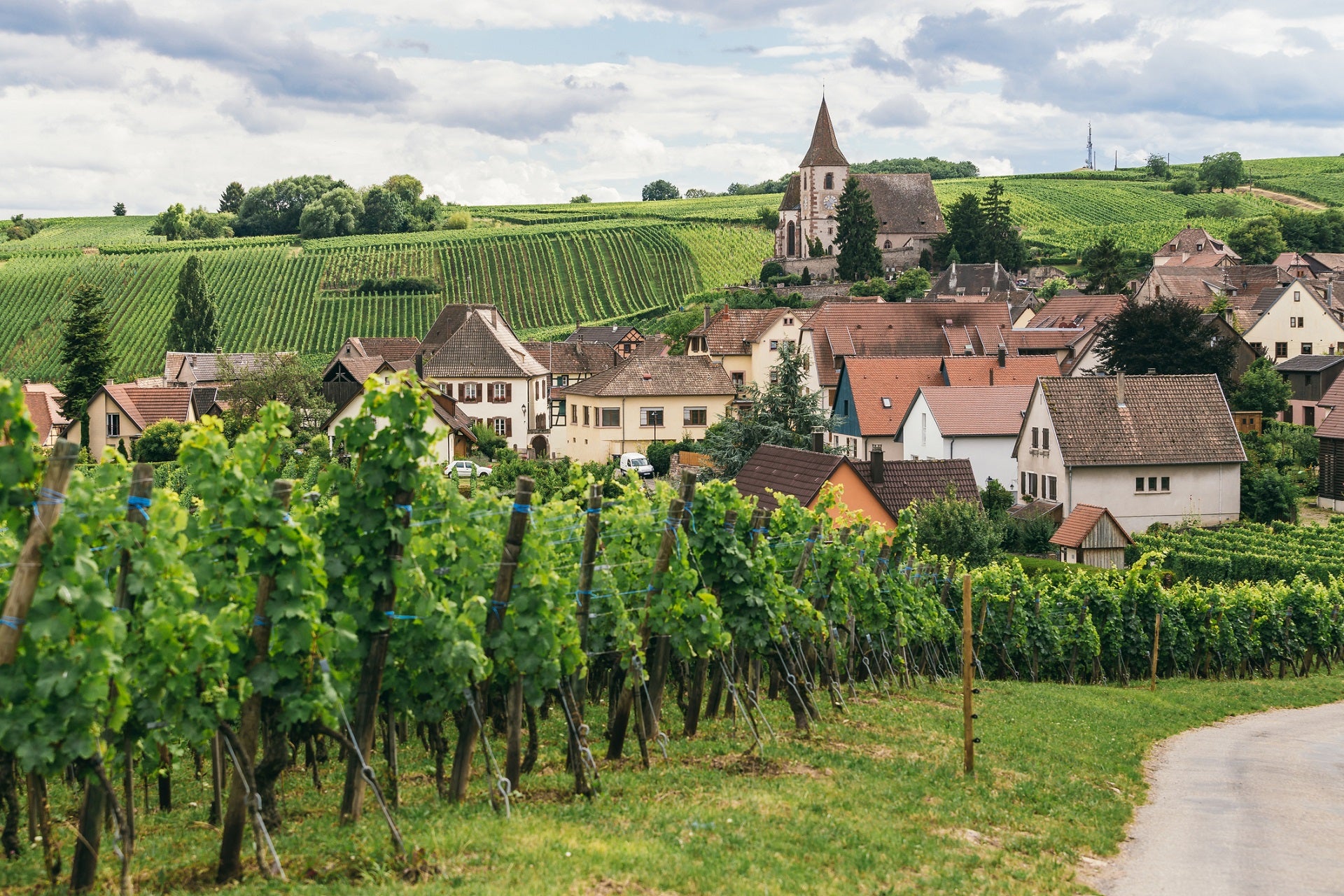 Weine aus Frankreich's Gourmethochburg