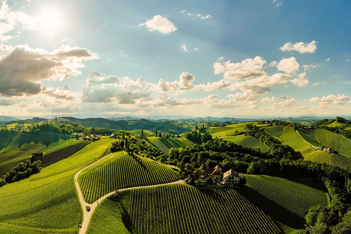 Österreichischer Wein 